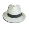 chapeau panama